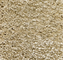 Ковролин AW Masquerade Gaudia 29 фото 1 | FLOORDEALER